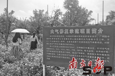 茶山啟用開放空間大氣修復試點