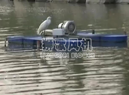 高壓風機應(yīng)用之河道治理